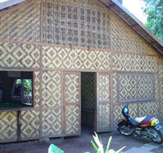 Bamboo panel building