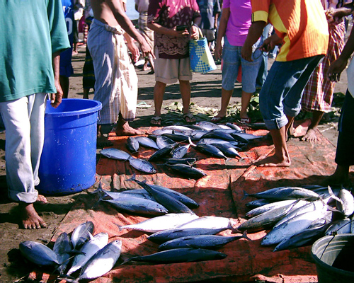  Fish Market on Beach