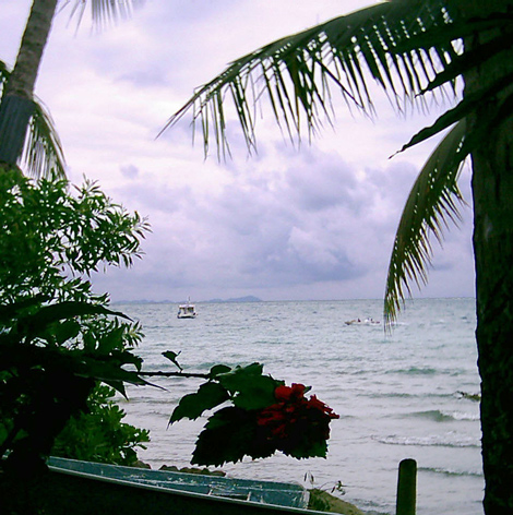  Tioman Island Paradise