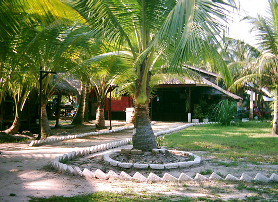  Cherating Guesthouse Grounds