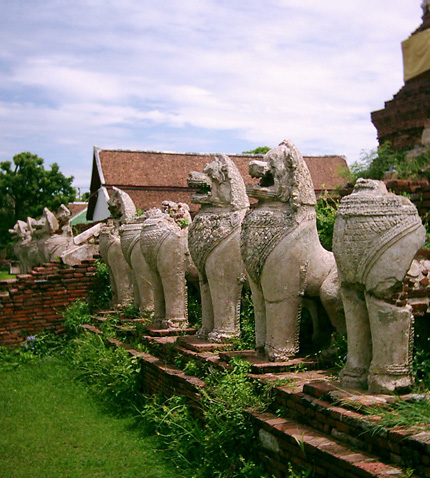  Wat Thammikarat