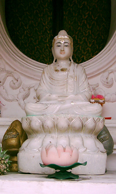  Buddha on Lotus