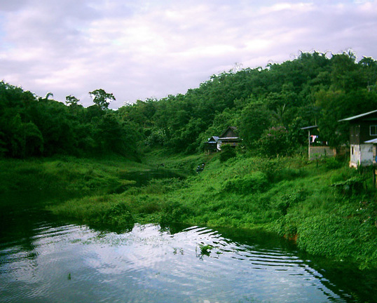  View from guesthouse balcony