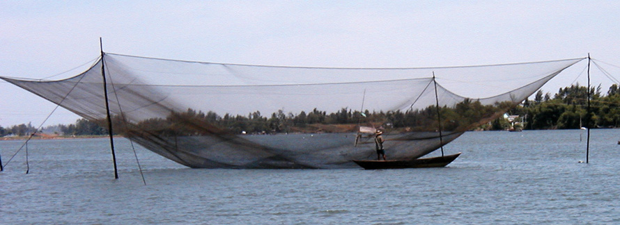 Massive Fishing Net