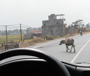 View from Bus ...