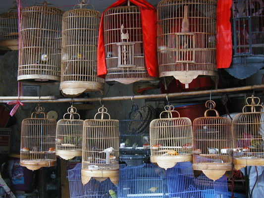  Bird Cages by the Dozens ...