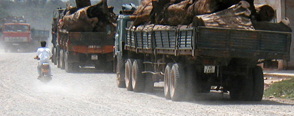  Ancient Forests Still Leaving Laos 