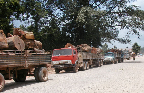  Every 15 Minutes Another Loaded Truck Passes 