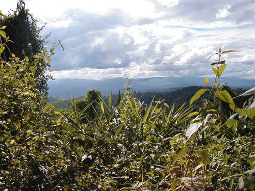  Horizon from crest of Hill 