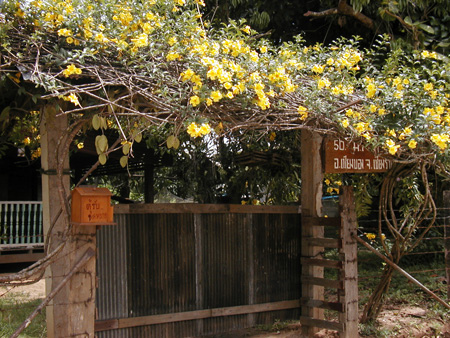  Flowering Entrance Gate