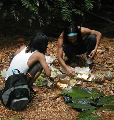  Jungle Kitchen