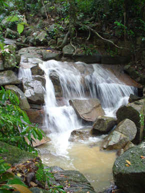 Pangkor Waterfall