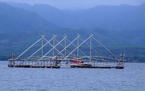 Fishing Net Structure