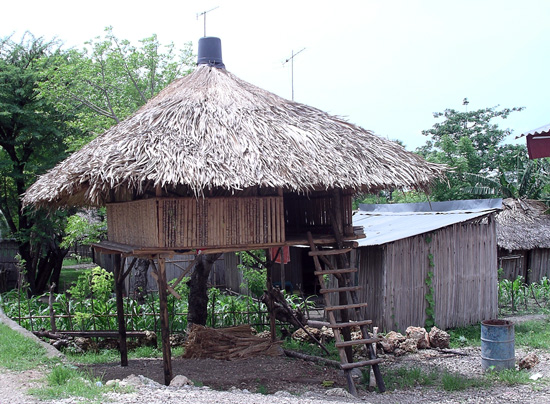 Traditional Home