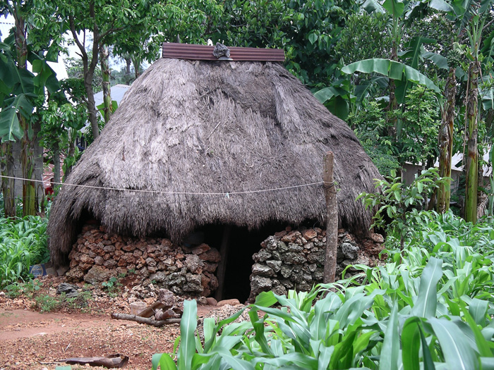 Traditional Home