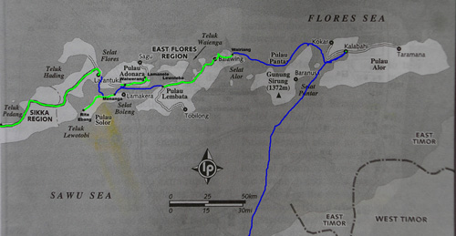  East of Flores Travel Path