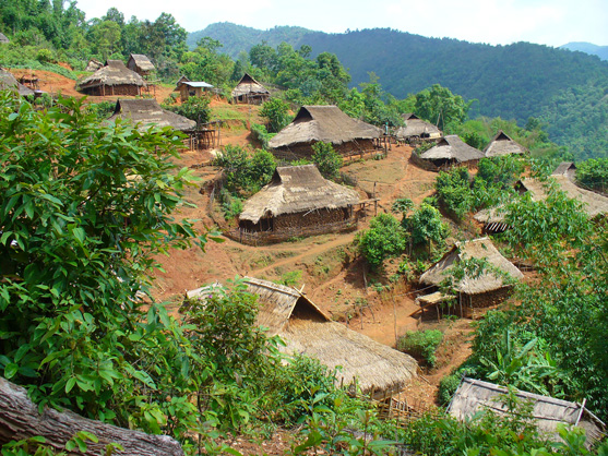  Minority Village 1