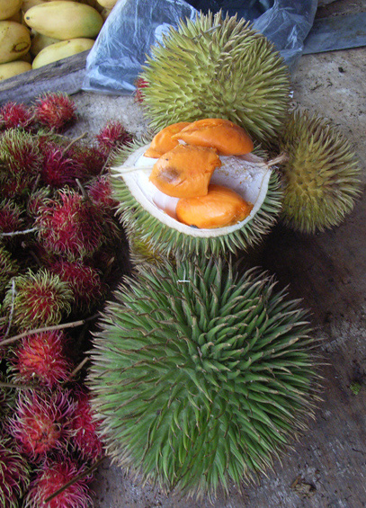  Special Durian