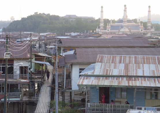  Boardwalk Through the Neighborhood