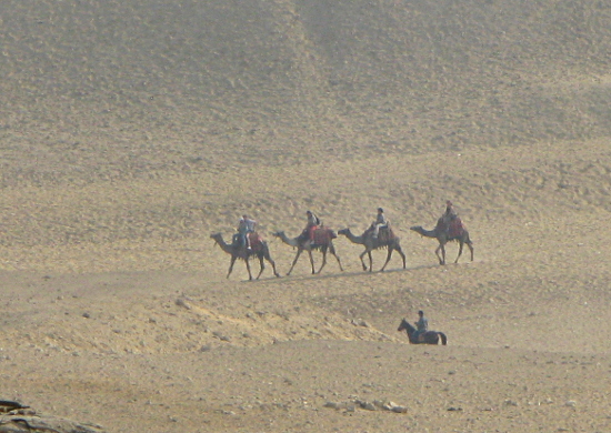 Camel train in distance