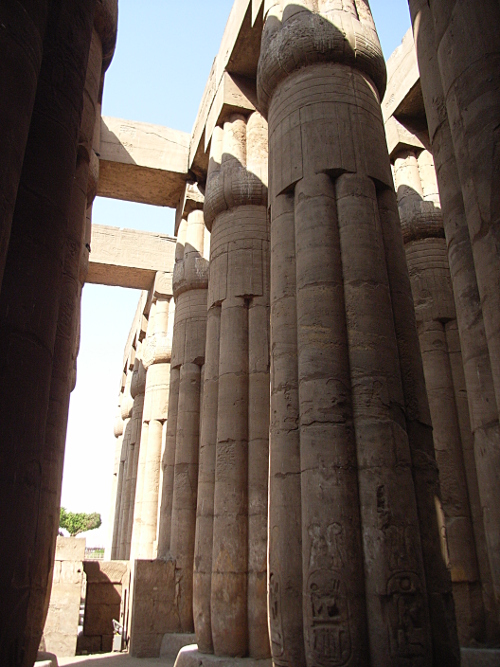 Row of papyrus columes