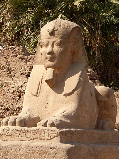 traditional sphinx