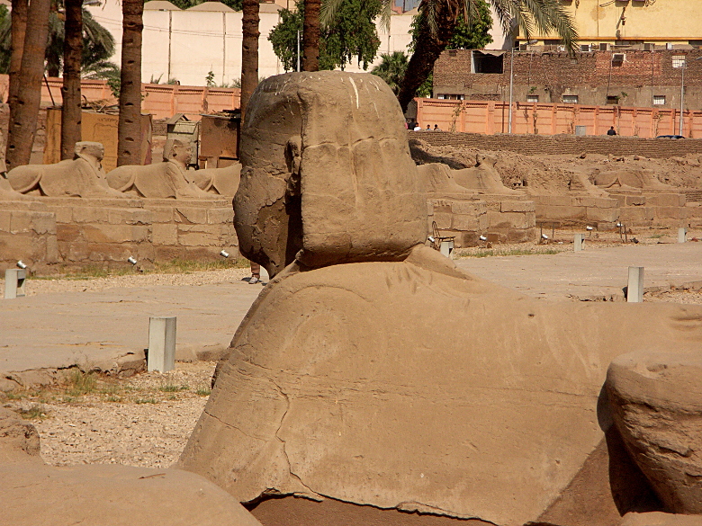  Avenue of Sphinxes 