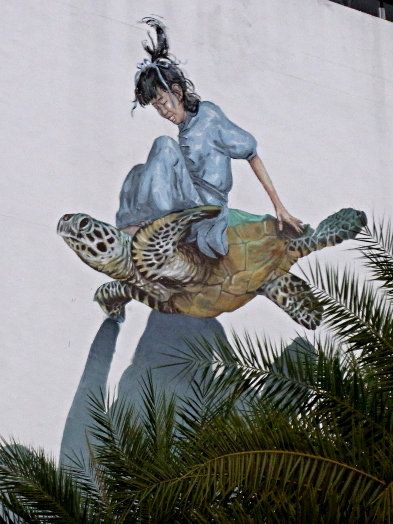 Turtle rider