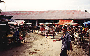 The Market in Ampana began opened at 6 AM.