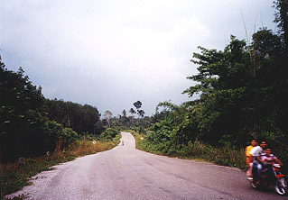 A great biking road