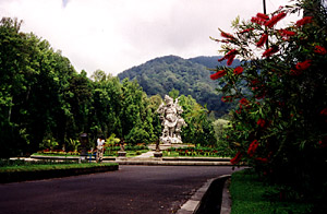 Kebun Raya Eka Karya Botanical Gardens