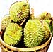 Durian, the King of SMELL