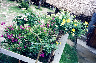 Fence around the bathrooms are well flowered