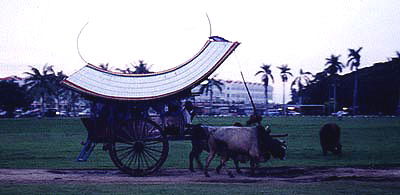 Ox and cart at dusk in Pahlawan Park, Melaka