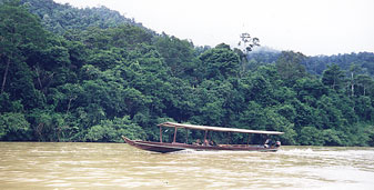 Riverboat transportation supplies the National Park