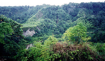 Hiking across Sianok canyon adjacent to Bukittinggi.