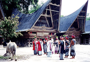 Dancers at Lake Toba