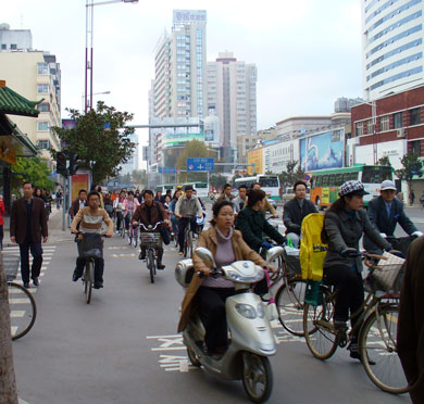  Bikes and Bicycles